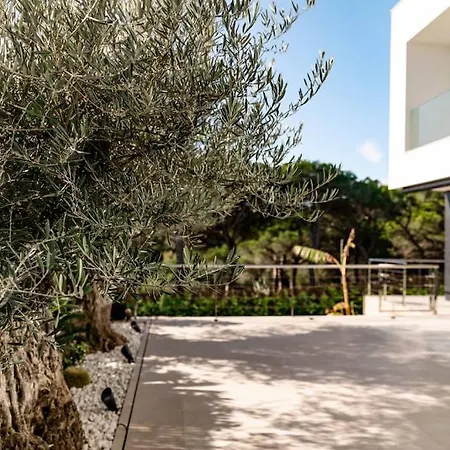 Luxury ***** פלטחה ד'ארו