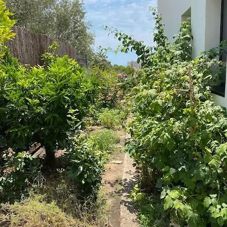 Luxury ***** * 플라티야 다로